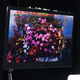 Illustration for article titled Sony Demos 9mm-thick High-Def OLED Displays